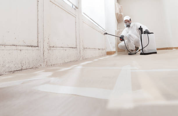24/7 Emergency Mold Removal experts in Union, NJ